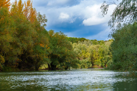 beautiful autumn landscape with river and forest, yellow leaves on trees, cloudy weatherの写真素材