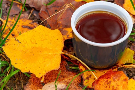 A cup of coffee in autumn leaves in forest, hiking, beautiful landscape in fall seasonの写真素材