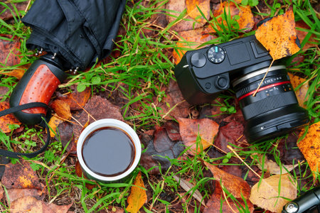 Hiking concept in autumn forest, backpack and camera, tripod and thermos of coffee on the ground with fallen yellow autumn leaves and grass, beautiful landscape in fall seasonの写真素材