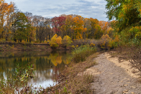 beautiful autumn landscape with river and forest, yellow leaves on trees, cloudy weatherの写真素材