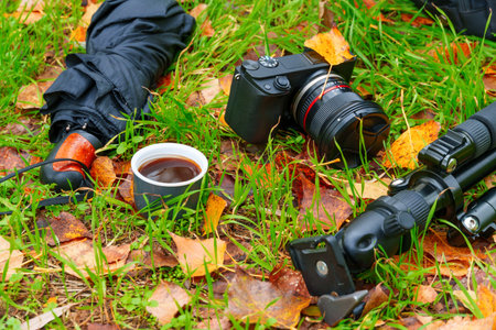 Hiking concept in autumn forest, backpack and camera, tripod and thermos of coffee on the ground with fallen yellow autumn leaves and grass, beautiful landscape in fall seasonの写真素材