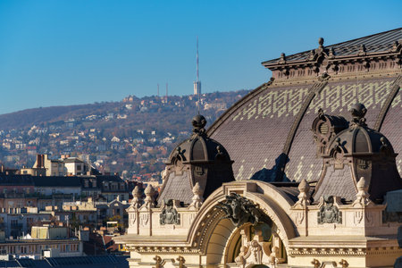 Building details, facade and roof, European medieval architecture, Royal Palace in Budapest, Hungary, cityscape in backgroundの写真素材