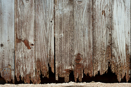 Rustic vertical wood grain texture with peeling white paint. Weathered timber planks background with knots and natural wood structure.の写真素材