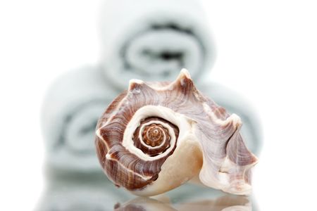 Stack of bath towels and seashellの写真素材