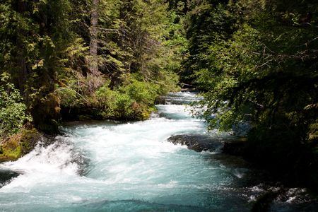 Beautiful creek in Oregon wildernessの写真素材