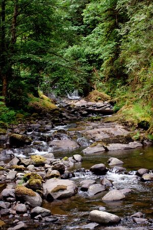 Beautiful creek in Oregon wildernessの写真素材