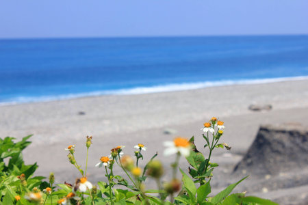 Sea sceneryの写真素材