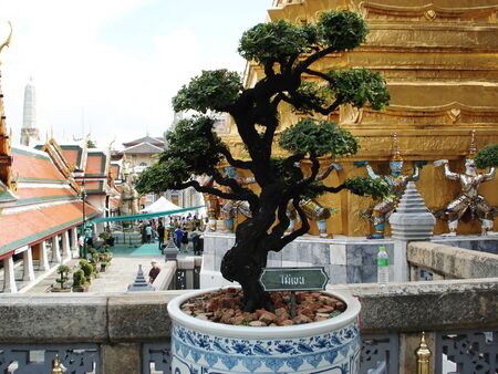 royal palace - bangkokの写真素材