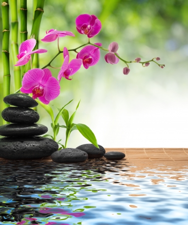 composition bamboo-purple orchid-black stones の写真素材