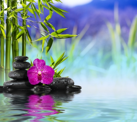 Purple Orchid, Stones and Bamboo on the water の写真素材