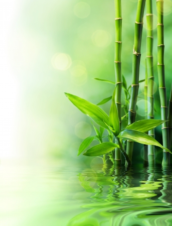 bamboo stalks on water - blurs の写真素材