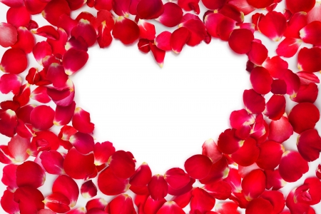 rose petals with place for text の写真素材