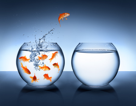 goldfish jumping - improvement and career concept の写真素材
