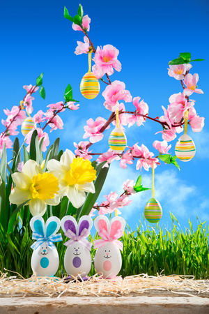 rabbits easter with peach blossom and narcissusの写真素材