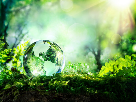 crystal globe on moss in a forest  environment concept