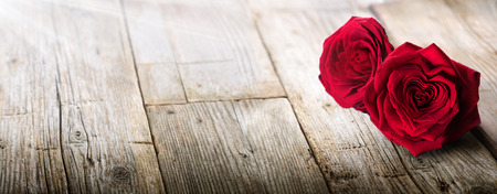 Valentines Card - Sunlight On Two Roses In Loveの写真素材