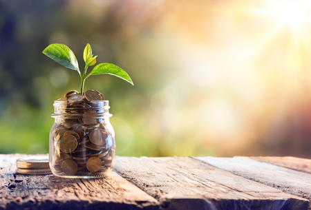 Plant Growing In Savings Coins - Investment And Interest Concept Plant Growing In Savings Coins - Investment And Interest Concept