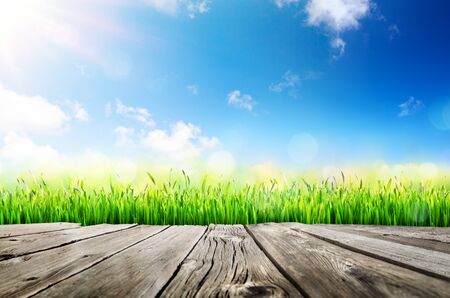 Old Table With Grass And Sunlight In The Blue Skyの写真素材