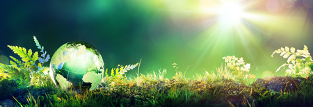 Green Globe On Moss - Environmental Concept Green Globe On Moss - Environmental Concept