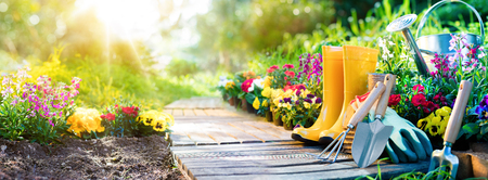 Gardening - Set Of Tools For Gardener And Flowerpots In Sunny Gardenの写真素材