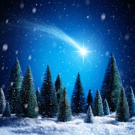 Christmas Star Shot In Snowy Night On Silent Forestの写真素材