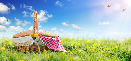 Picnic - Basket On Meadowの写真素材