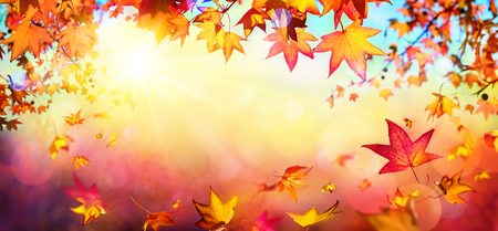 Falling Autumn Red Leaves With Sunlight - Fall Backgroundの写真素材