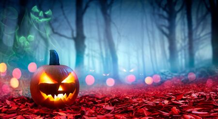 Pumpkin On Red Leaves In Spooky Forest With Ghost Smoke - Halloweenの写真素材
