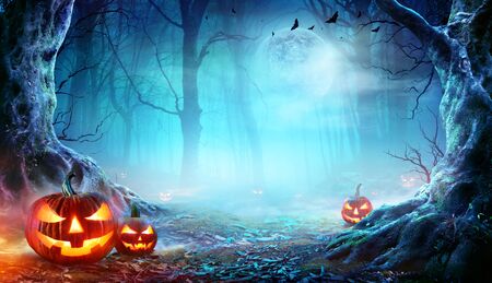Jack O? Lanterns In Spooky Forest At Moonlight - Halloweenの写真素材