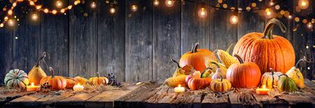 Thanksgiving - Pumpkins And Corncobs On Rustic Tableの写真素材