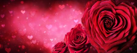 Red Roses In The Shape Of A Heart Valentines Day Bannerの写真素材