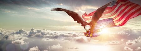 Eagle With American Flag Flying Over The Cloudsの写真素材