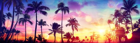 Silhouette Tropical Palm Trees At Sunset - Summer Vacation With Vintage Tone And Bokeh Lightsの写真素材