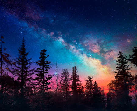 Milky Way In Night Forest Scene With Fog And Sunsetの写真素材