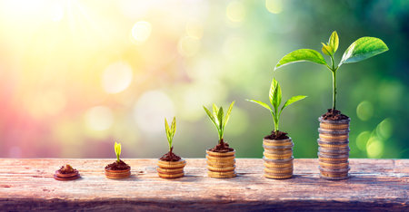 Money Growth Concept - Plants On Coin Stacks In Increaseの写真素材