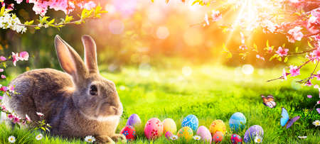Easter - Cute Bunny In Sunny Garden With Decorated Eggsの写真素材