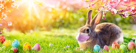 Cute Bunny With Medical Mask - Easter Pandemic Conceptの写真素材