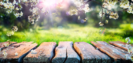 Spring Table With Trees In Blooming And Defocused Sunny Garden In Background