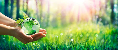 Environment Concept - Hands Holding Globe Glass In Green Meadow With Sunlightの写真素材