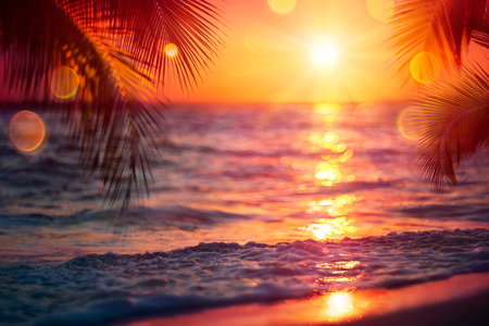 Blurred Sunset On Sea With Palm Leaves - Abstract Defocused Summer Vacation Backgroundの写真素材