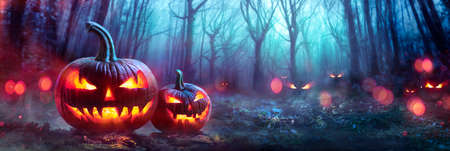 Halloween Pumpkins In A Spooky Forest At Night With Evil Eyesの写真素材