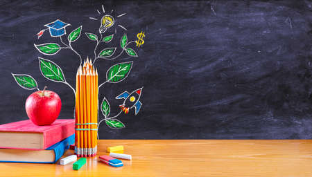 Back To School - Grow Tree Of Knowledge - Inspiration And Achievement Conceptの写真素材