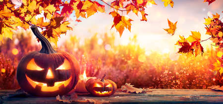 Pumpkins On Autumn Table With Leaves And Candles Sunny Backgroundの写真素材