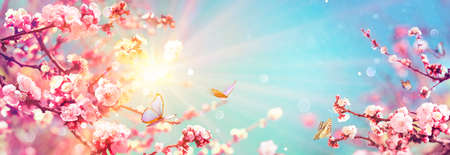 Blooming Flowers And Sky - Spring Background With Defocused abstract Lightの写真素材