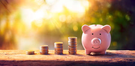Savings Money - Success Piggybank - Financial Banking Conceptsの写真素材