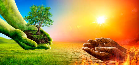 Drought Environment - Climate Change And Global Warming Concept - Green Hands Give Tree To Dry Soilの写真素材