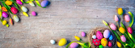 Easter Eggs - Painted Decoration In Nest With Tulips On Natural Wooden Plankの写真素材