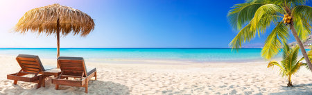 Tropical Beach - Chairs And Palm Trees On Coral Sand With Blue Ocean - Summer Vacationの写真素材