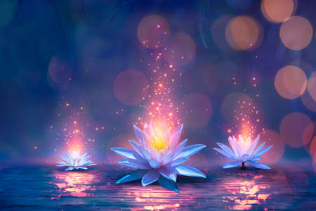 Magic Lotus Flower On Water - Miracle Concept - Waterlilies In Defocused Backgroundの写真素材