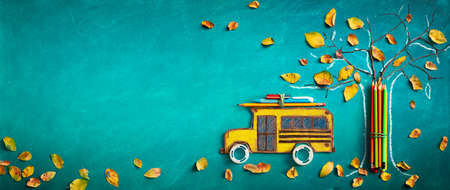 Back To School - Bus And Pencils Tree Sketch With Dry Autumn Leaves On blackboard Backgroundの写真素材